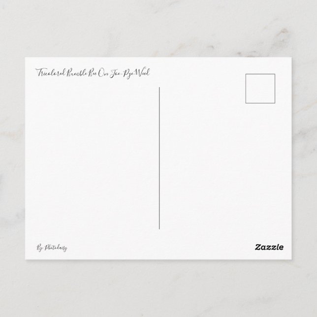 Cartão Postal Abelhas de Mata Triangular no Cartão-Postal de Sem (Verso)