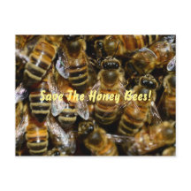 Abelhas De Mel Na Colmeia