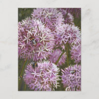 Abelhas de Verão de 2014