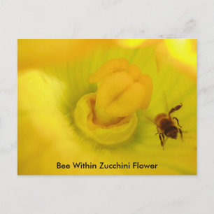 Cartão Postal Abelhas Dentro Da Flor Da Abobrinha