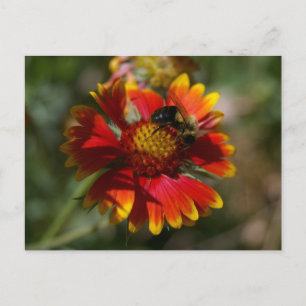 Cartão Postal Abelhas e Flores