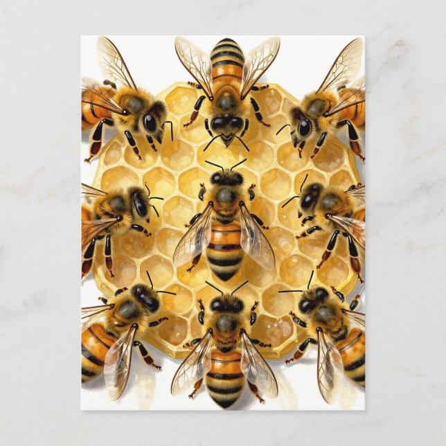 Cartão Postal Abelhas em Círculo de Mel Hexagonal (Frente)