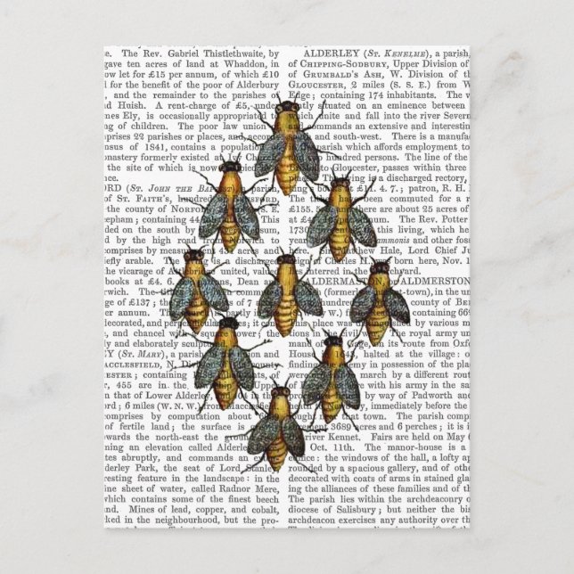 Cartão Postal Abelhas Medievais 2 (Frente)