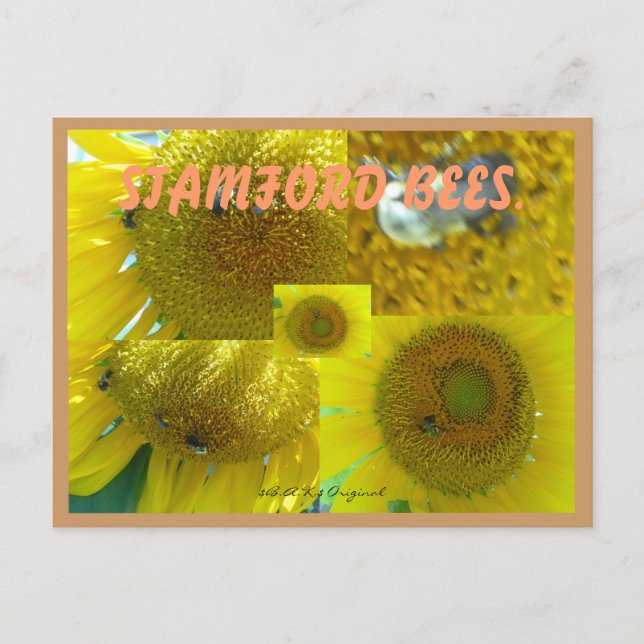 CARTÃO POSTAL ABELHAS STAMFORD CT (Frente)