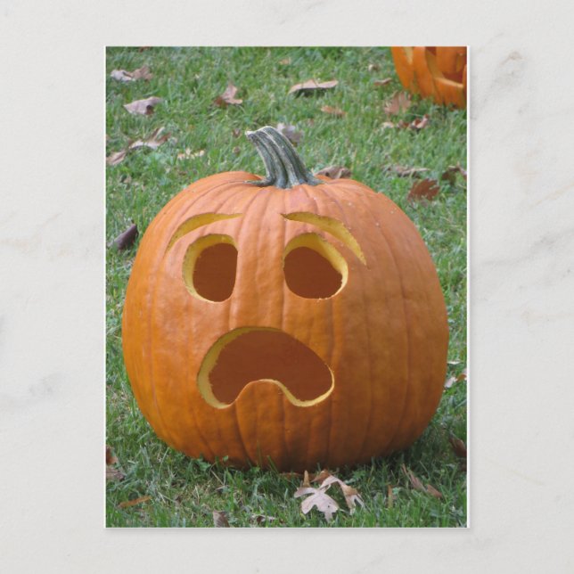 Cartão Postal Abóbora Chocada (Frente)