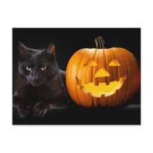 Abóbora de Halloween e gato preto
