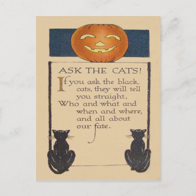 Cartão Postal Abóbora de Jack O' Lantern Gato Preto (Frente)