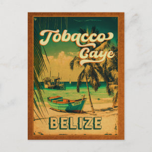 Cartão Postal Abóbora-do-cigarro Belize Palmeiras-do-campo