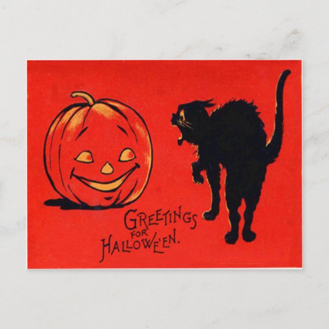 Cartão Postal Abóbora Jack O Lantern Gato Preto (Frente)