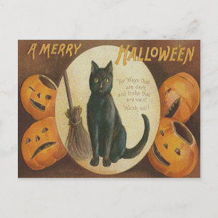 Cartão Postal Abóbora Jack O' Lantern Vassoura Gato Preto