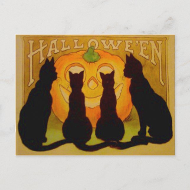 Cartão Postal Abóbora Lanterna do Jack Gato Preto (Frente)