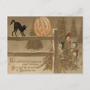 Cartão Postal Abóbora Lanterna Gato Preto Montão de Feno