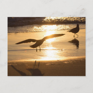 Cartão Postal Abordagem de aterrissagem