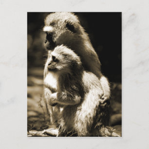 Cartão Postal Abraços