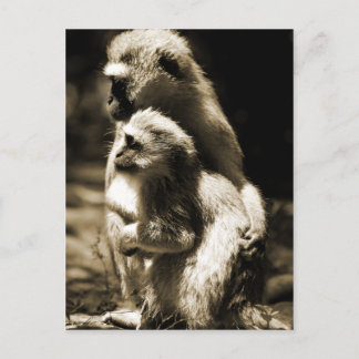 Cartão Postal Abraços