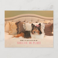 Abrigo para cães em branco no lugar | Sheltie Post