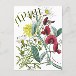 Cartão Postal Abril Mês Flores Doce Rico de margarida de ervilha