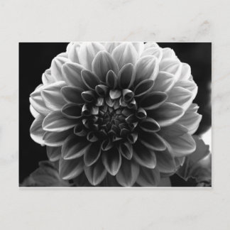 Cartão Postal Abrindo Todas As Camadas