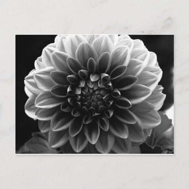 Cartão Postal Abrindo Todas As Camadas (Frente)