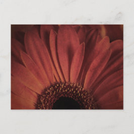 Cartão Postal Abstrato Daisy