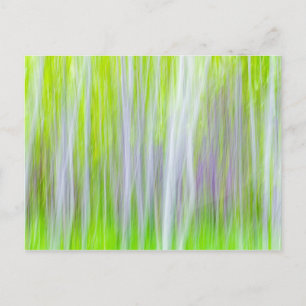 Cartão Postal Abstrato de Árvores Aspen   Yakima River Trail, W