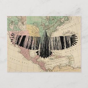 Cartão Postal Abstrato Eagle Tree Silhouettes Natureza Arte Anim