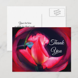 Cartão Postal Abstrato Floral Rosa Rosebud Obrigado Cartão-Posta