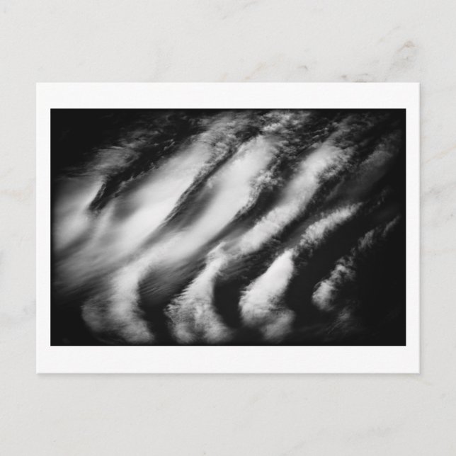 Cartão Postal abutres caídos (Frente)