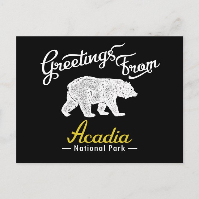 Cartão Postal Acadia National Park Bear (Frente)