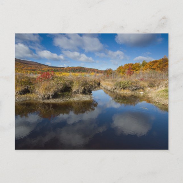 Cartão Postal Acadia NP: Cores de outono, reflexões (Frente)