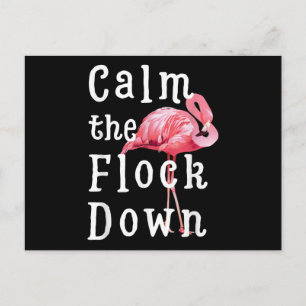 Cartão Postal Acalme o Rebanho Flamingo Menina   Flamingo Engraç