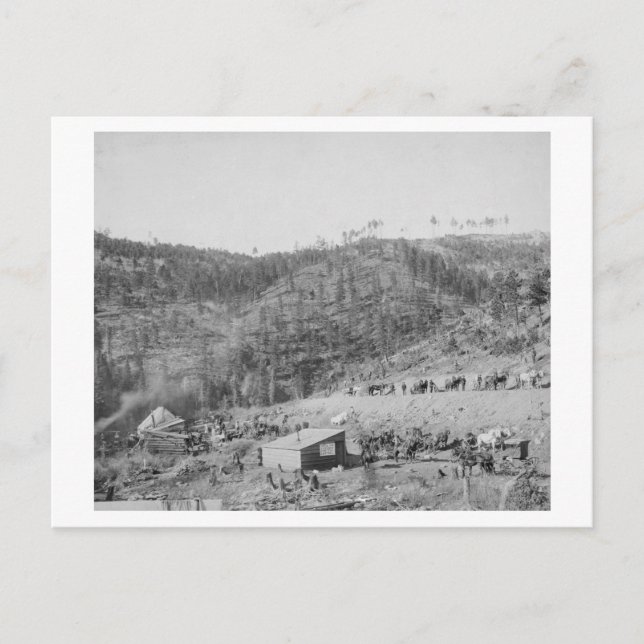 Cartão Postal Acampamento da ferrovia Wade e Jones em Whitewood  (Frente)