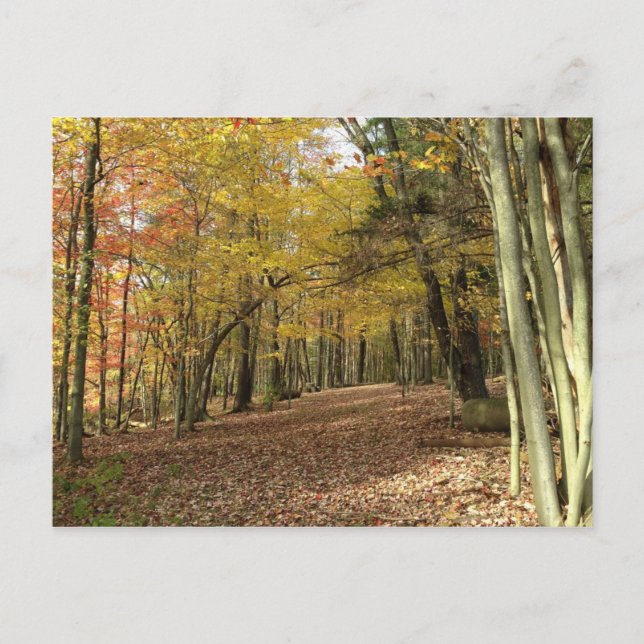 Cartão Postal Ação de Graças da Colheita de outono (Frente)