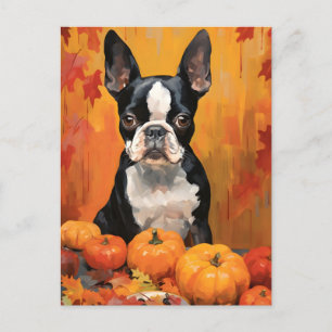 Cartão Postal Ação de Graças de Boston Terrier Autumn