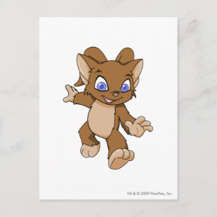 Cartão Postal Acara Brown