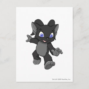 Cartão Postal Acara Shadow