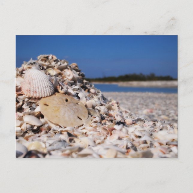 Cartão Postal Acasalamento (Frente)