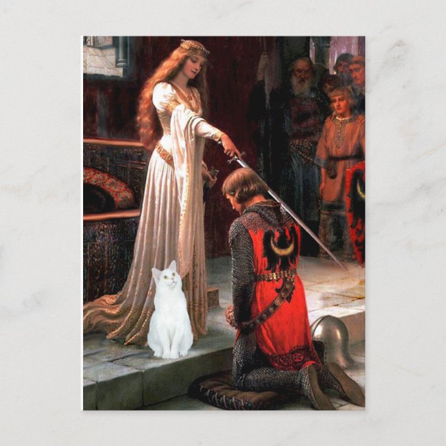 Cartão Postal Accolade - Gato branco (Frente)