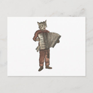 Cartão Postal Accordion Cat