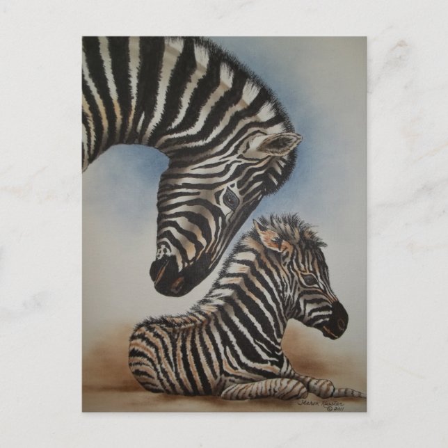 Cartão Postal Acessórios de imagem de espelho (zebra) (Frente)