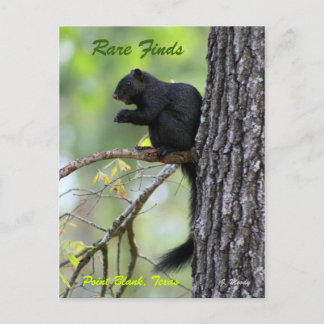 Cartão Postal Achados raros