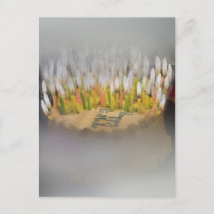 Cartão Postal Acho que vamos precisar de um Bolo de Aniversário 