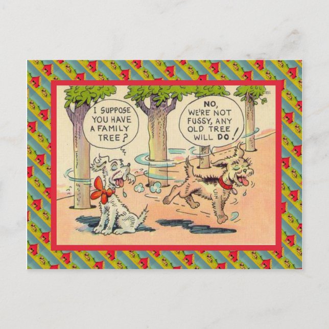 Cartão Postal Acho que você tem uma árvore genealógica (Frente)