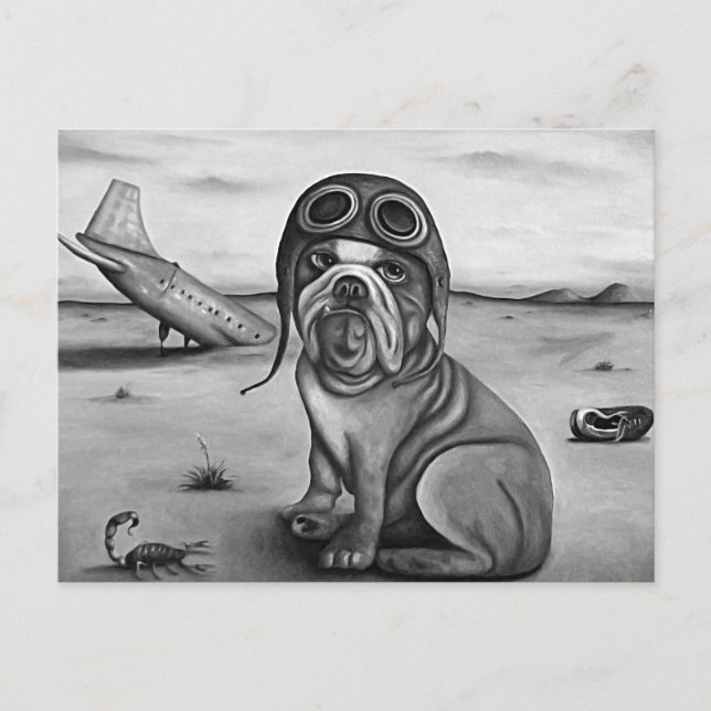 Cartão Postal Acidente (Frente)