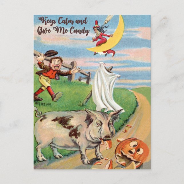 Cartão Postal Acidente de abóbora com porcos (Frente)