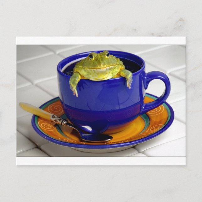 Cartão Postal Acordar! (Frente)