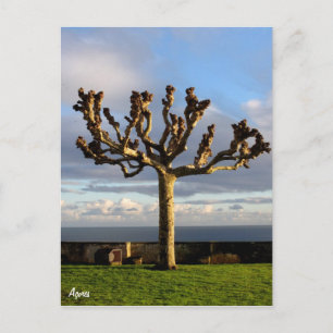 Cartão Postal Açores Postcard-Ermida da mae de Deus