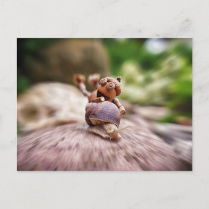 Cartão Postal Acorn elf cavalgando no cartaz-caracol