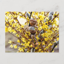 Cartão Postal Acorn elf com cartão-postal catkins primavera