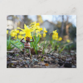 Cartão Postal Acorn elf com primavera de flor daffodil